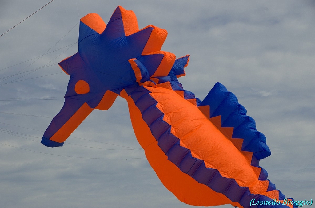 RIMINI 2012 - 178.jpg